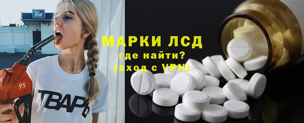 прущие грибы Орехово-Зуево