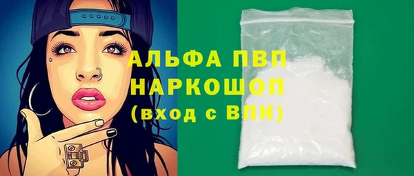прущие грибы Нефтекумск