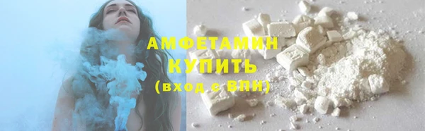 прущие грибы Нефтекумск