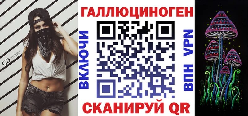 где можно купить наркотик  Куртамыш  Галлюциногенные грибы Psilocybine cubensis 